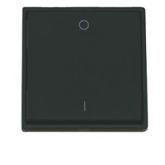 EnOcean wireless switch 2 channels 0/1 anthracite